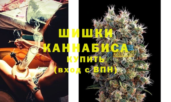 прущие грибы Костерёво