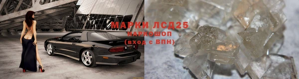 СК Козельск