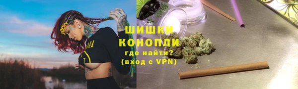 ГАЛЛЮЦИНОГЕННЫЕ ГРИБЫ Кодинск