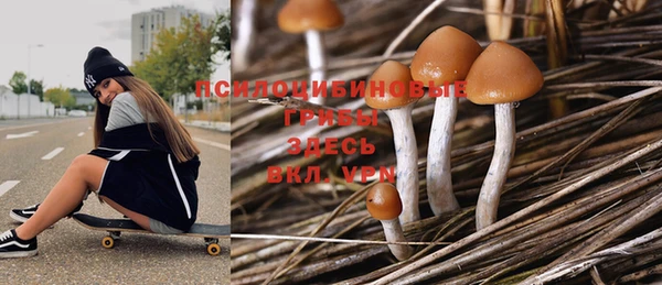 ГАЛЛЮЦИНОГЕННЫЕ ГРИБЫ Кодинск