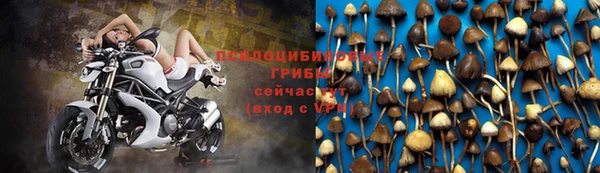 СК Козельск
