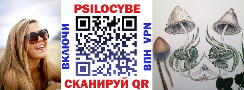 Псилоцибиновые грибы прущие грибы  Купить где  Баймак 